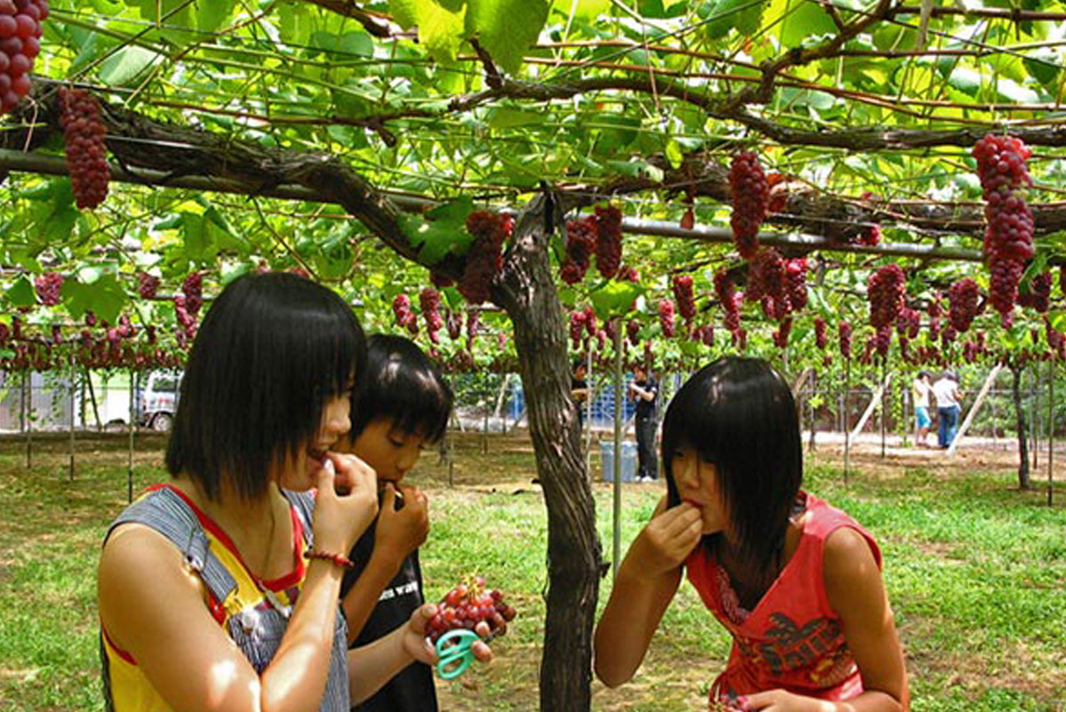 加賀フルーツランド